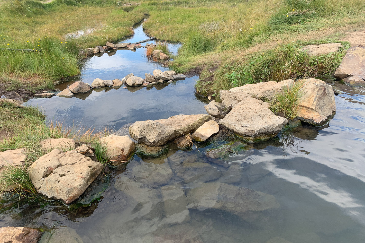 A hot spring in Iceland with rocks and green grass