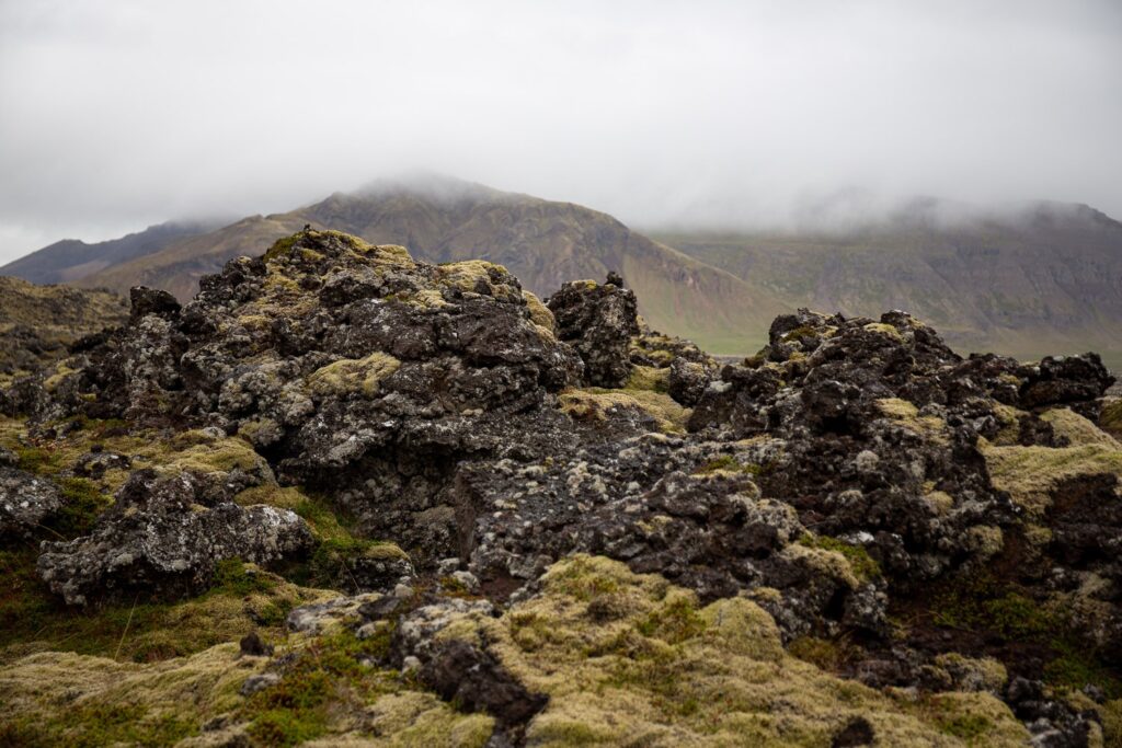 moss covered lava field on grey day