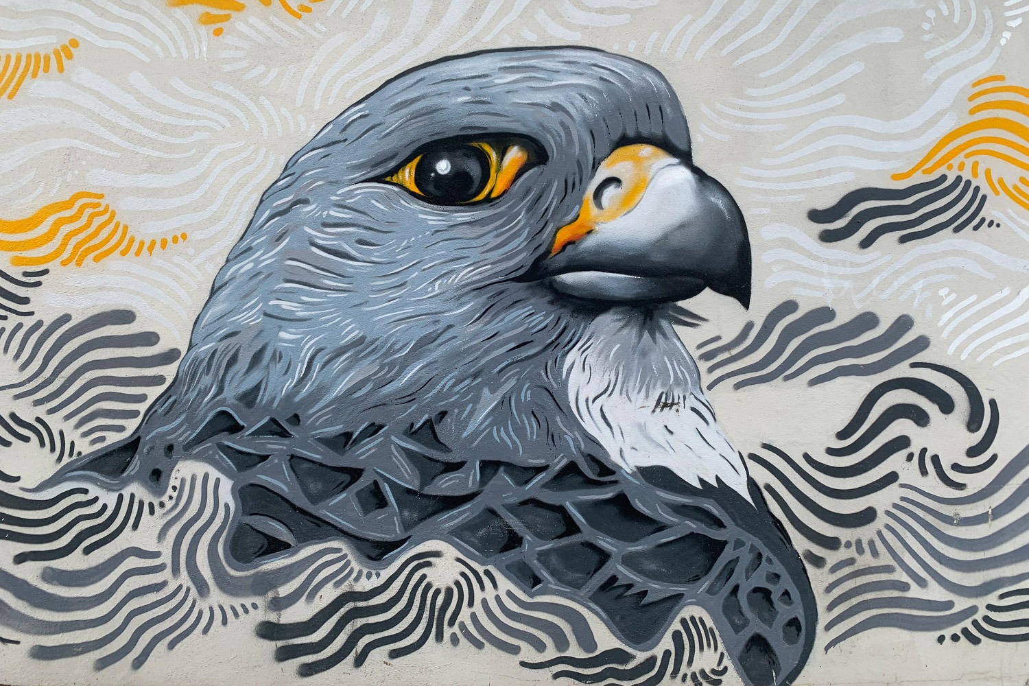 eagle street art