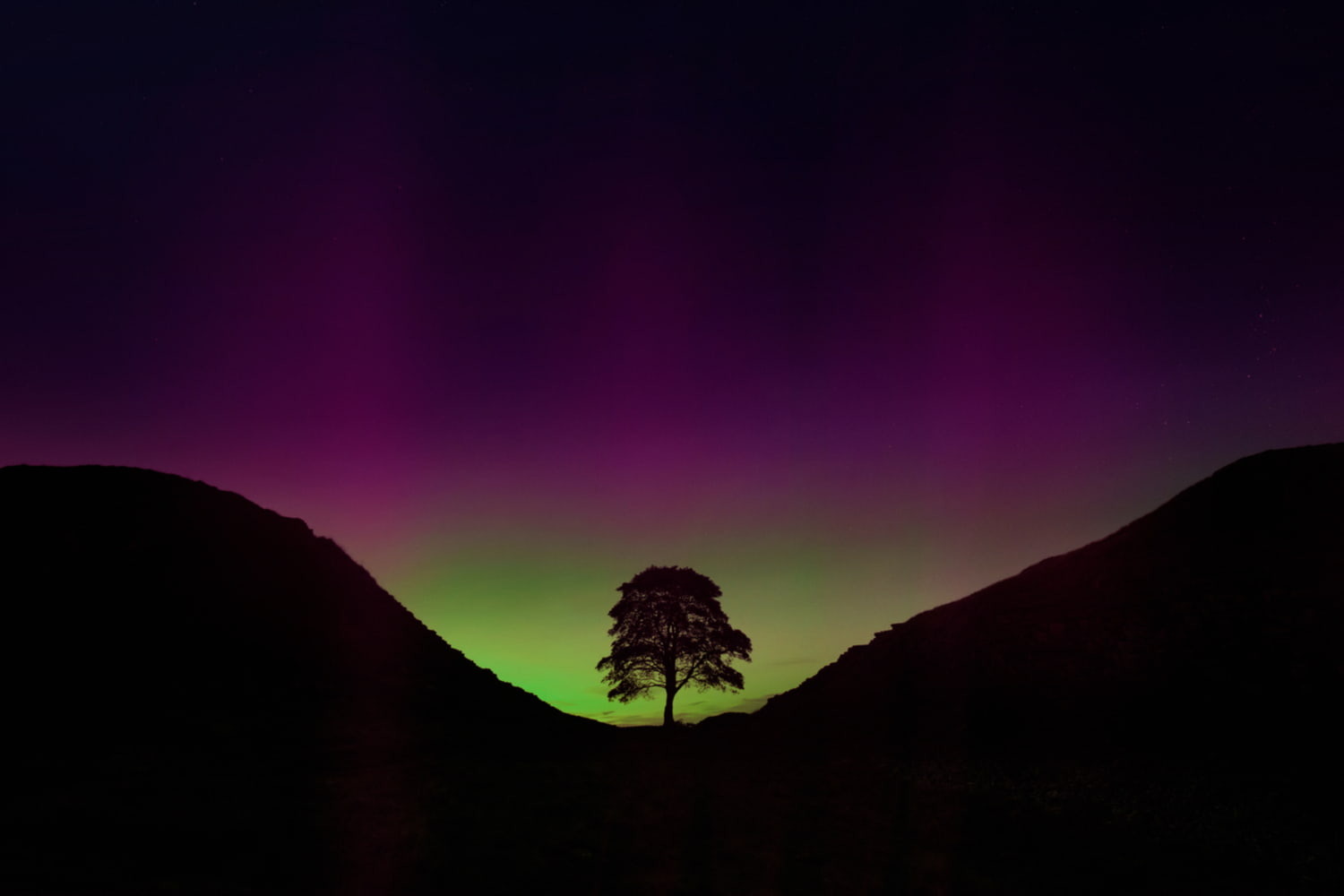 Northern lights over lone tree at sycamore gap