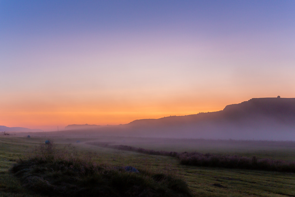 summer night in Iceland