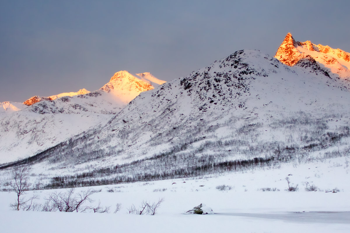 A guide to exploring Kvaløya and Sommarøy in Norway